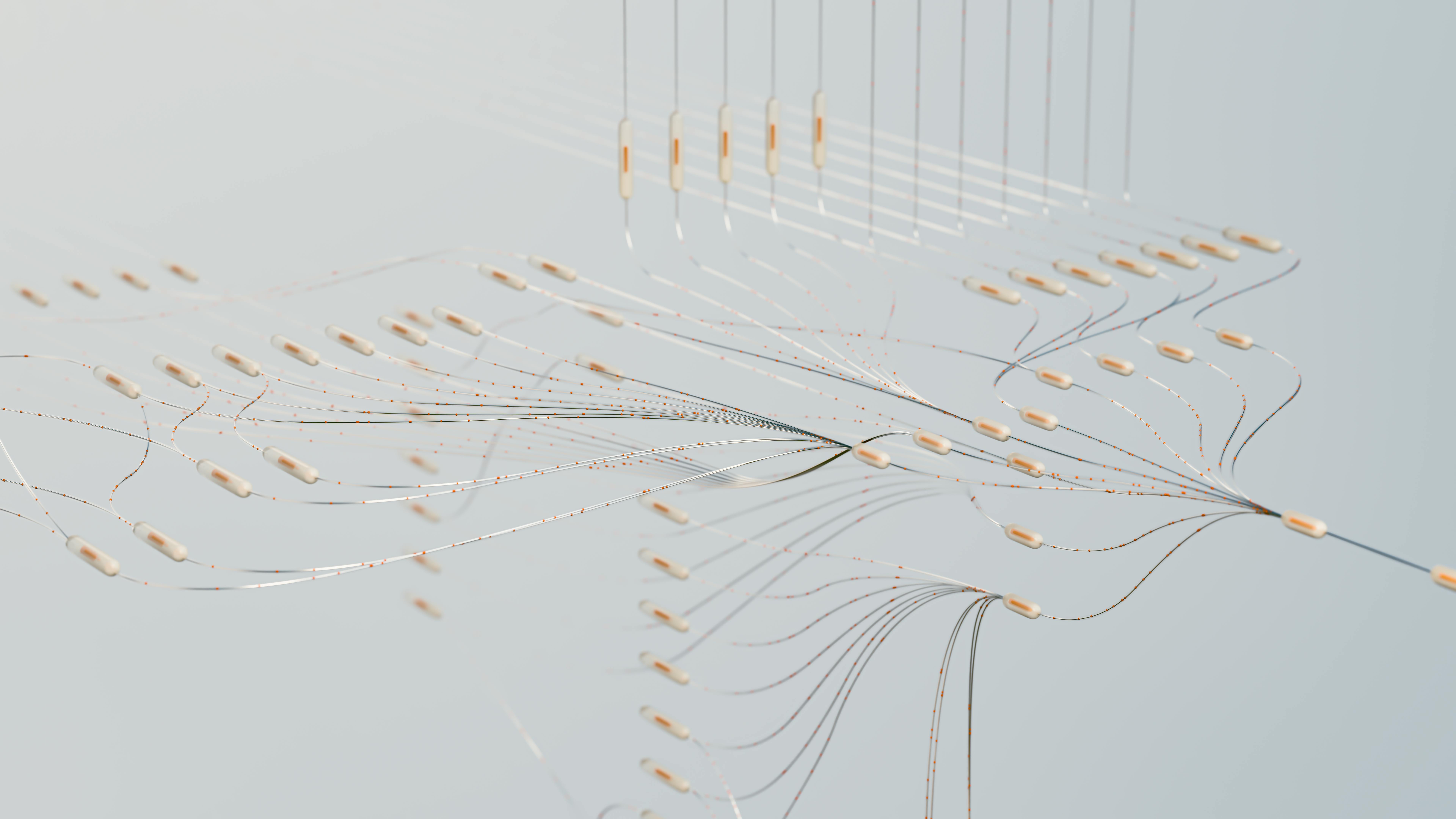 Image of enterprise network cables and connections